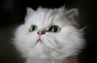 fjuchersnaja torgovlja btc na okx 1 chas nizkij risk