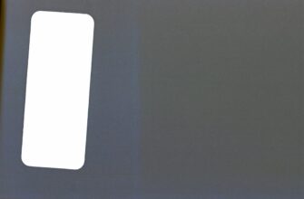 fjuchersnaja torgovlja usdt na bybit dnevnoj nizkij risk