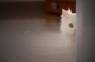 izbezhat dvojnogo naloga kripto dohod v armenii poshagovo