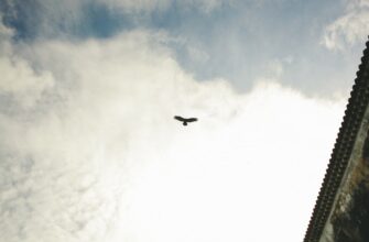 kak zashifrovat akkaunt air gap