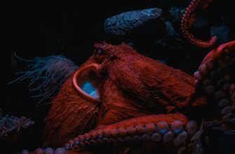 klast na depozit ton na kraken staking 2025