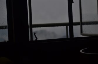 luchshij sposob sdelat rezervnuju kopiju sid frazu bez interneta