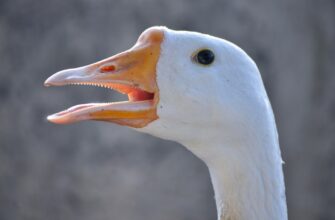 metamask v holodnom hranenii nizkaja stoimost