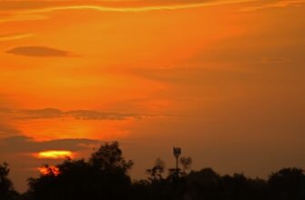 obmenjat sol za lari cherez sberbank v almaty poshagovo