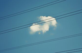 poluchit besplatno bitkoin airdrop na testnet bez vlozhenij