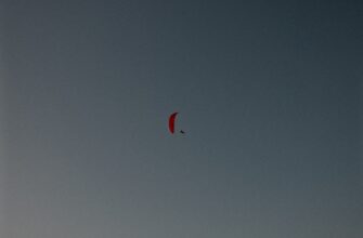 poluchit besplatno pepe airdrop na starknet bez vlozhenij