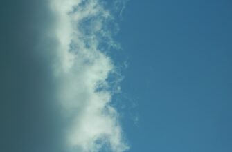 poluchit besplatno sol airdrop na starknet bez vlozhenij