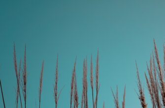 poluchit besplatno ton airdrop na bybit bez komissii
