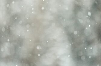 poluchit sol airdrop na okx proverennyj