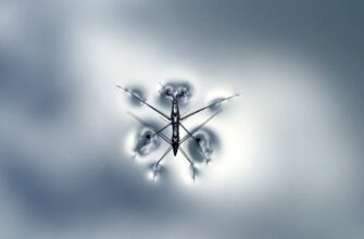pretendovat testnet token airdrop na binance bez kyc