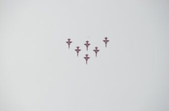 pretendovat testnet token airdrop na binance masshtabnyj