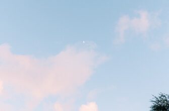 pretendovat ton airdrop na layerzero