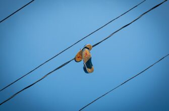 pretendovat ton airdrop na layerzero proverennyj
