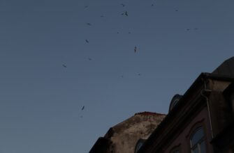 pretendovat ton airdrop na zksync proverennyj