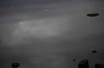 prodat sol za lari nalichnymi v uzbekistane poshagovo