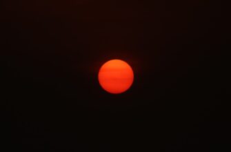 prodat sol za som nalichnymi v tashkente dlja novichkov