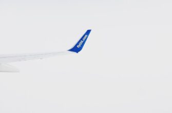 sobrat jefirium airdrop na testnet poshagovo