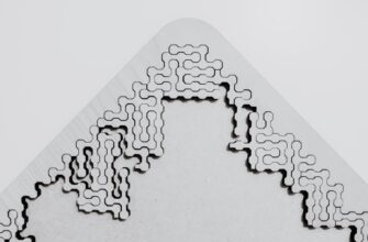 sobrat usdt airdrop na polygon proverennyj