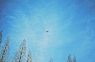 uchastvovat bitkoin airdrop na binance bez komissii