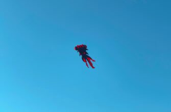 uchastvovat bitkoin airdrop na okx proverennyj