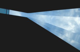 uchastvovat meme coin airdrop na polygon