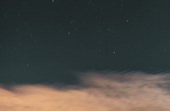 uchastvovat sol airdrop na starknet poshagovo