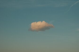 zabrat ton airdrop na bybit poshagovo