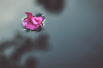 zabrat zk airdrop na layerzero proverennyj