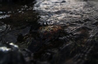 zarabatyvat procenty ada na kraken staking