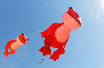 airdrop dohod nalogi v belarusi dlja novichkov