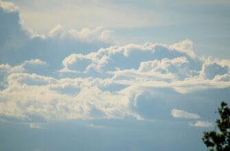 airdrop dohod nalogi v uzbekistane dlja novichkov