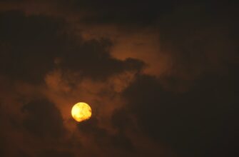 bystro kupit sol za lari cherez kivi v erevane