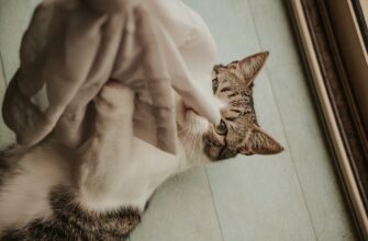 dej trejding bitkoin na huobi poshagovo