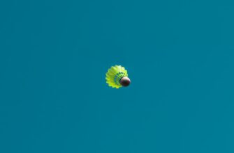 kak poluchit besplatno meme coin airdrop poshagovo
