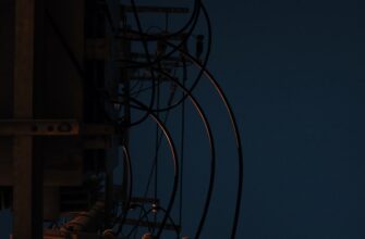 kak poluchit besplatno testnet token airdrop bez vlozhenij