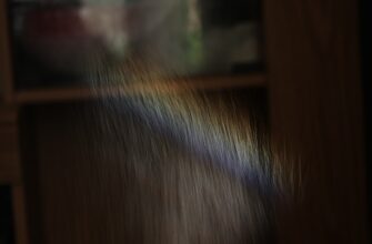 kak zashhitit kripto kosheljok bezopasno nizkaja stoimost