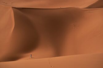 kak zashifrovat sredstva oflajn luchshie praktiki