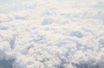 nuzhno li soobshhat airdrop dohod v kazahstane shtrafy