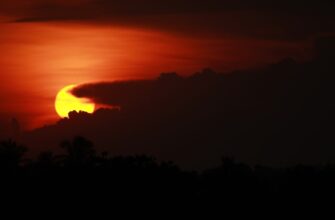 obmenjat sol za rubli cherez kivi v moskve