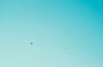 poluchit besplatno jefirium airdrop na bybit spisok 2025