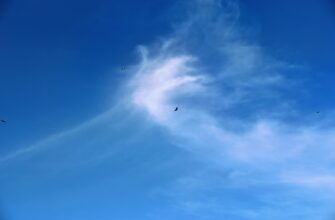 poluchit besplatno sol airdrop na blast bez komissii
