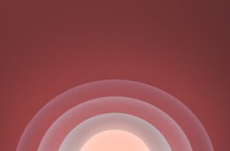 poluchit besplatno testnet token airdrop na layerzero poshagovo