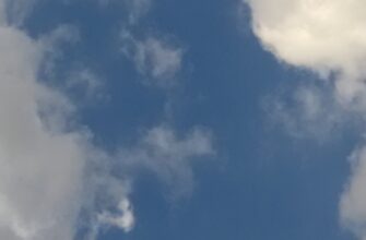 poluchit besplatno usdt airdrop na starknet bez komissii