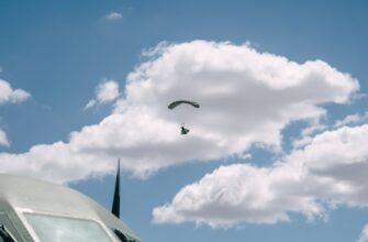 poluchit besplatno zk airdrop na starknet bez vlozhenij