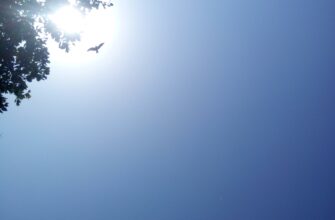 poluchit sol airdrop na testnet