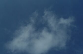 pretendovat bitkoin airdrop na bybit proverennyj