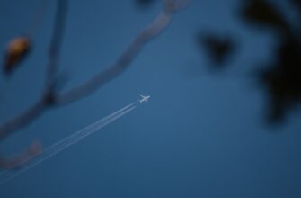 pretendovat bitkoin airdrop na testnet bez komissii