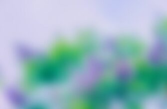 pretendovat testnet token airdrop na layerzero bez komissii