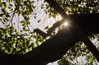 prodat sol za tenge nalichnymi v tashkente