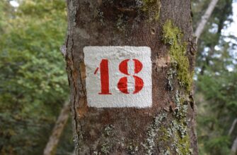skalping jefirium na binance 15 minut dlja novichkov